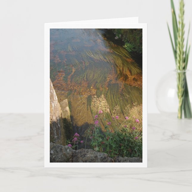 River Bed Card (Front)