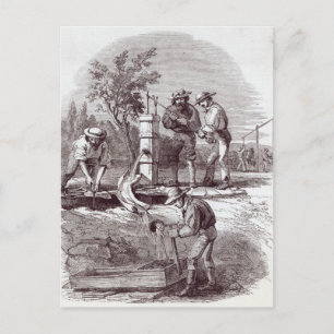 River-bed claim on the Turon Postcard