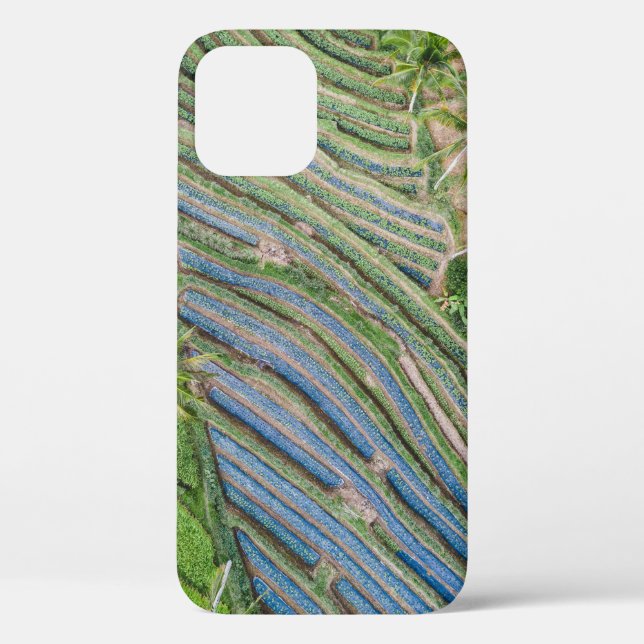 River between coconut trees painting Case-Mate iPhone case (Back)