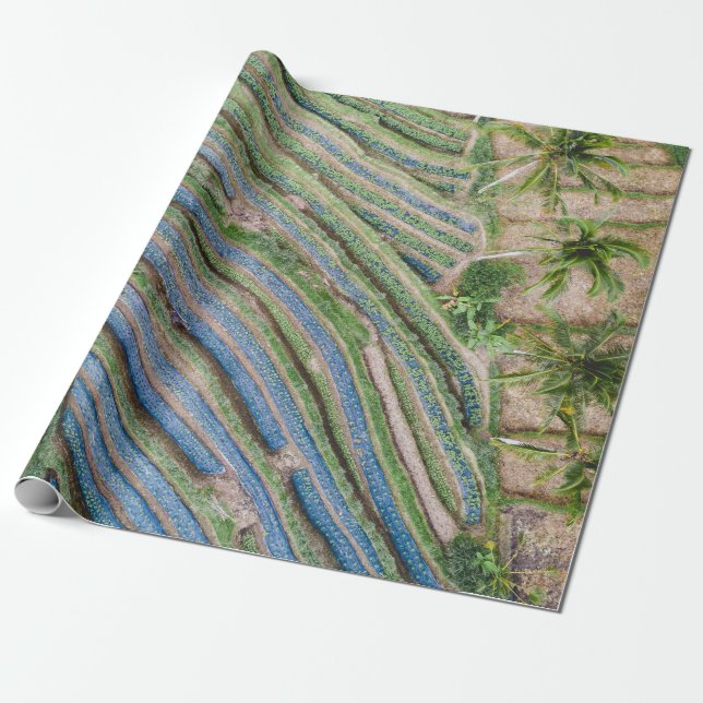 River between coconut trees painting wrapping paper (Unrolled)