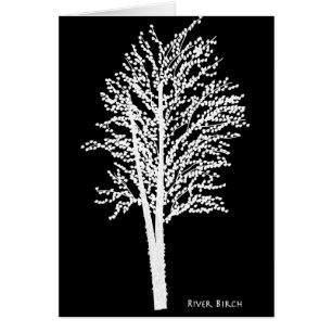 River Birch Tree in Abstract
