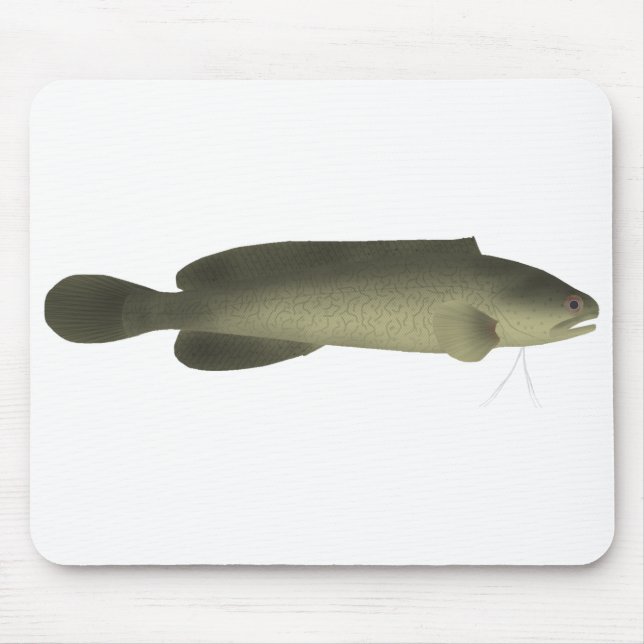 River Blackfish Print, Value Poster Paper (Matte) Mouse Pad (Front)