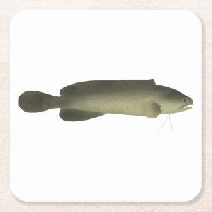 River Blackfish Print, Value Poster Paper (Matte) Square Paper Coaster
