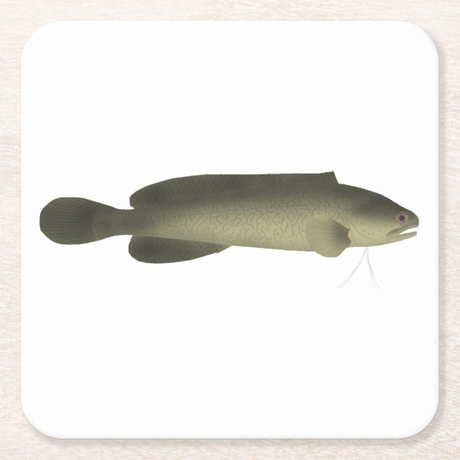 River Blackfish Print, Value Poster Paper (Matte) Square Paper Coaster (Front)