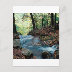 River Buttermilk Falls Delaware Gap New Jersey Postcard