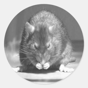 river classic round sticker