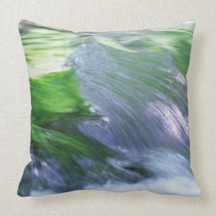 River Cushion
