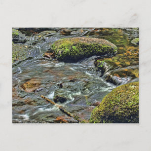 River Dart at Dartmeet Dartmoor Postcard