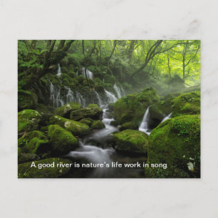 River - Green forest - Quote Mix Postcard
