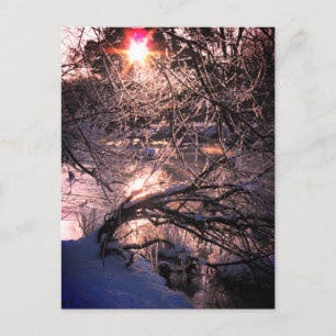 River Hafren / Severn in Winter Postcard