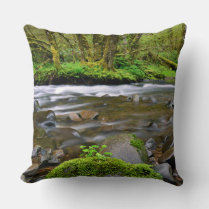 River in green forest, Oregon Cushion