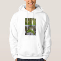 River in green forest, Oregon