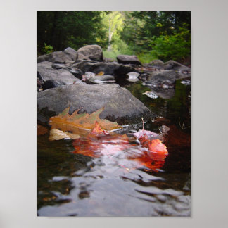 River Leaves Poster