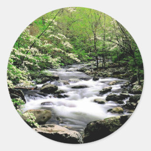 River Middle Prongdogwoods Smoky Tennesse Classic Round Sticker