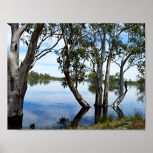 River Murray Australia, Just Beautiful, Poster