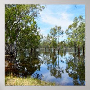 River Murray Australia The Floods, Poster