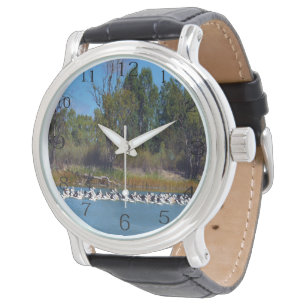 River Murray Fishermen: Pelican Fishing Frenzy, Watch