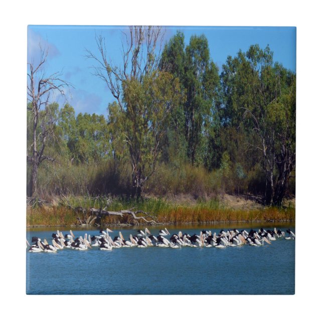 "River Murray's Fishermen: A Pelican Gathering" Ceramic Tile (Front)