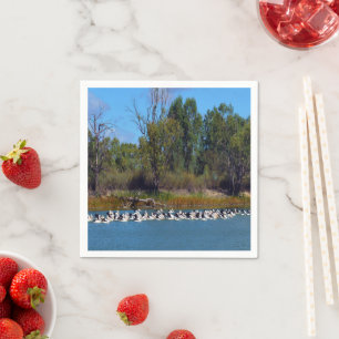 "River Murray's Fishermen: A Pelican Gathering" Napkin