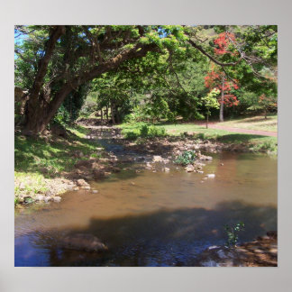 River of Serenity Poster