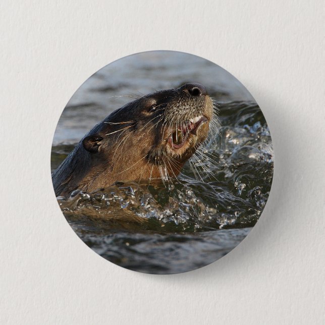 river otter 6 cm round badge (Front)