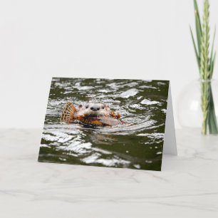 River Otter and Fish Card