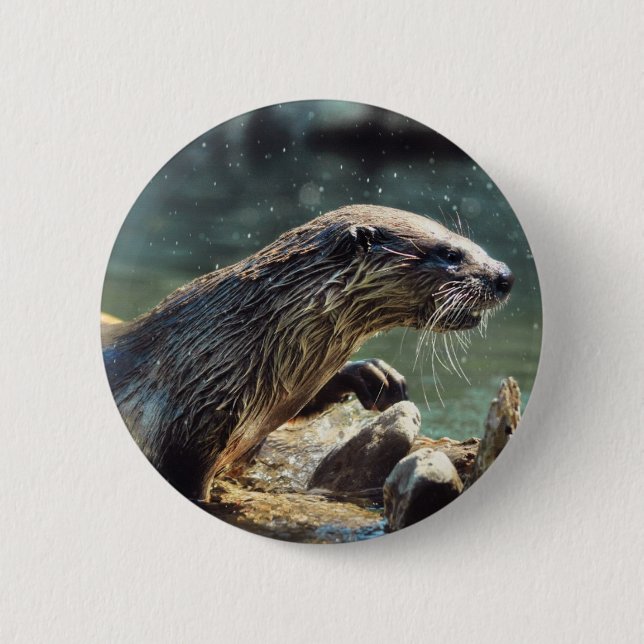 River Otter Animal-lover's Wildlife Photo 6 Cm Round Badge (Front)