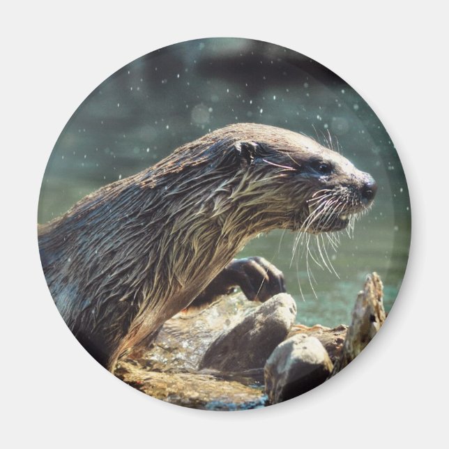 River Otter Animal-lover's Wildlife Photo Magnet (Front)