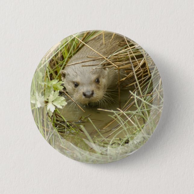 River Otter Habitat Button (Front)