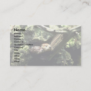 River Otter peering out of rocky den Business Card