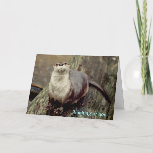 River Otter, Thinking of you... Card (Front)