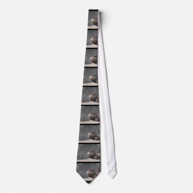 River Otter Tie (Front)