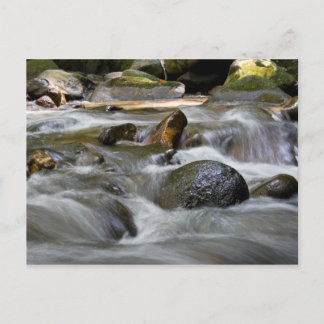River Postcard