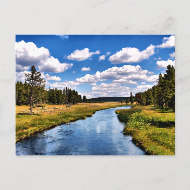 River postcard (Front)