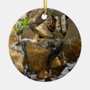 River Rocks Cement Blocks and Mangrove Seedling Ceramic Tree Decoration