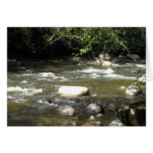 River Scene