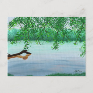 River scene with fallen log postcards