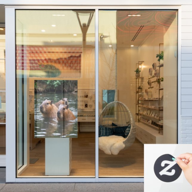 "River Serenity: Capybaras Swimming in the Flow" (Store Window)