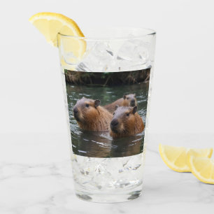 "River Serenity: Capybaras Swimming in the Flow" Glass