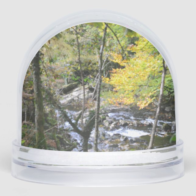 river snowglobe (Front)