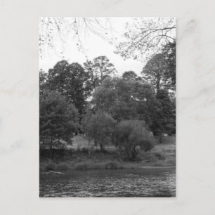 River Taff at Bute Park, Cardiff - BW Postcard