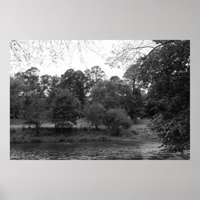 River Taff at Bute Park, Cardiff - BW Poster (Front)