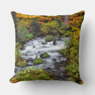 River through forest, Fall, Oregon Cushion