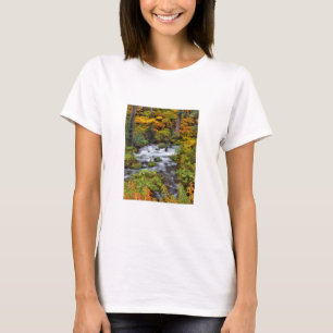 River through forest, Fall, Oregon T-Shirt