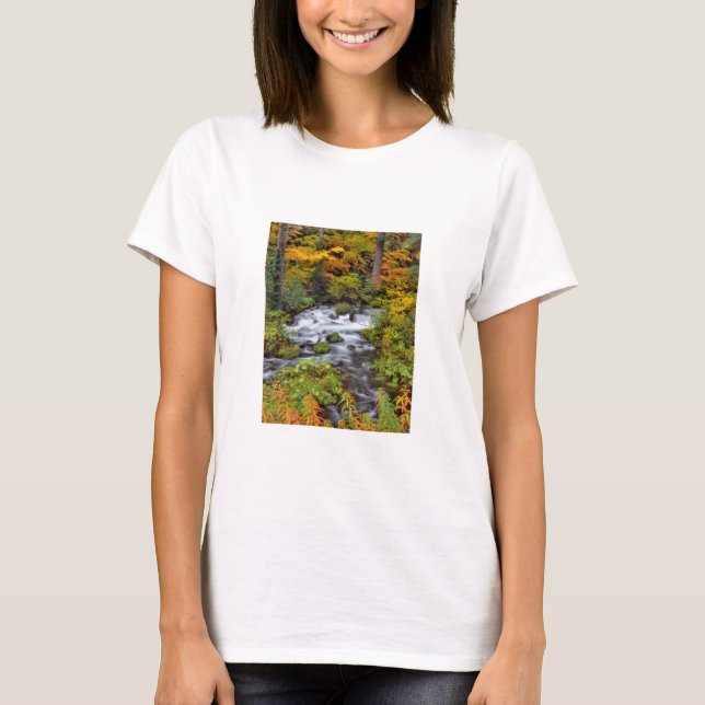 River through forest, Fall, Oregon T-Shirt (Front)