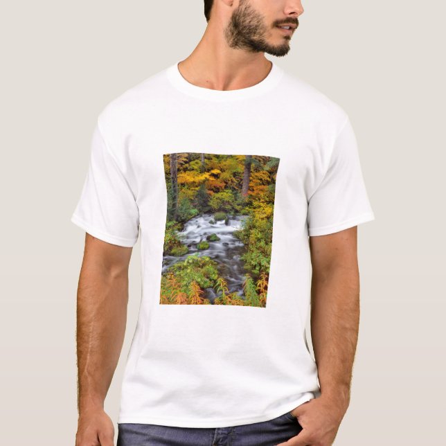 River through forest, Fall, Oregon T-Shirt (Front)