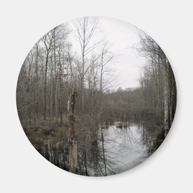 River Through the Wilderness Magnet (Front)