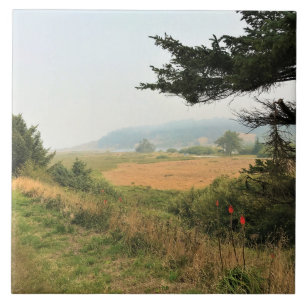 River Trail at Cape Blanco, Oregon Coast Ceramic Tile