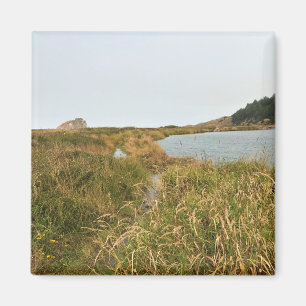 River Trail at Cape Blanco, Oregon Coast Magnet