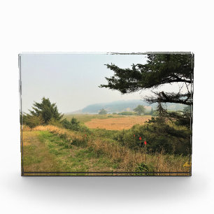River Trail at Cape Blanco, Oregon Coast Photo Block